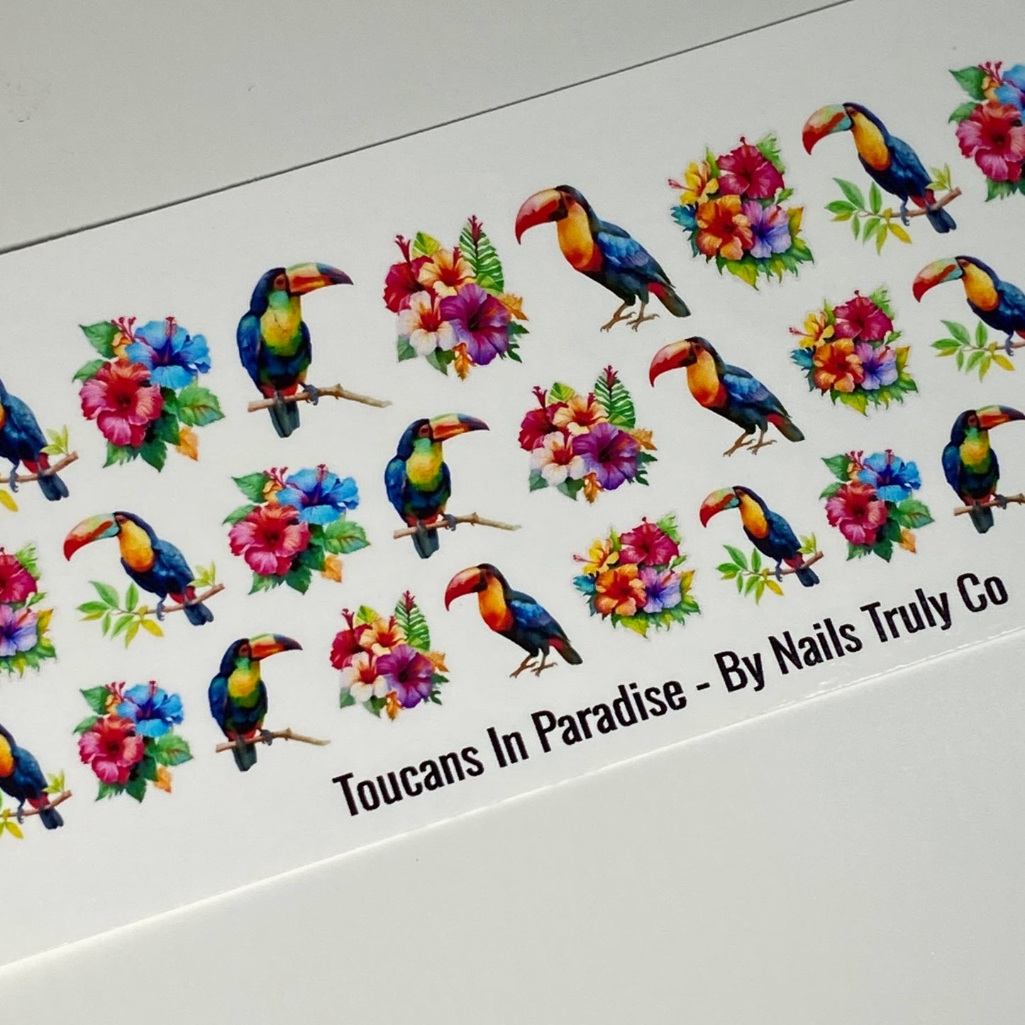 Summer Nails - Short Nail Art- Toucans In Paradise